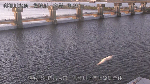 hitamn2025120407_image