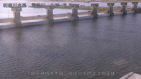 hitamn2025120408_image