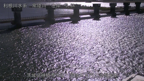 hitamn2025120412_image