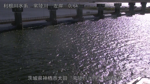 hitamn2025120413_image