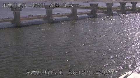 hitamn2025120414_image