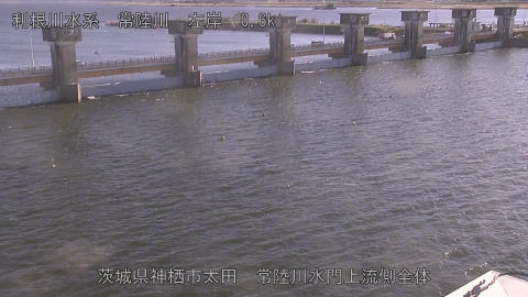 hitamn2025120415_image