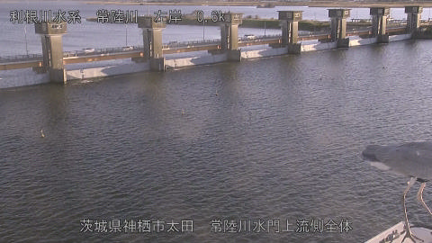 hitamn2025120416_image