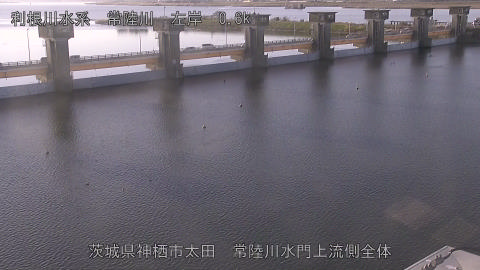 hitamn2025120508_image