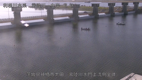 hitamn2025120509_image