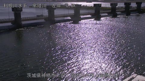 hitamn2025120512_image