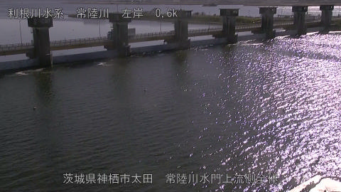 hitamn2025120513_image