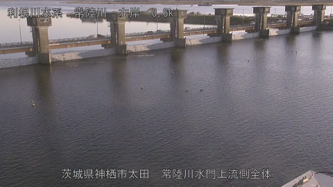 hitamn2025120516_image