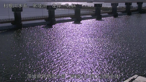 hitamn2026010812_image