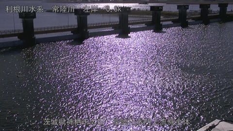 hitamn2026010912_image