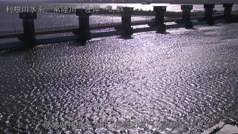 hitamn2026011012_image