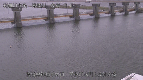 hitamn2026011112_image