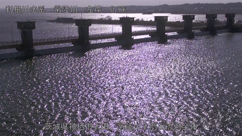 hitamn2026011312_image