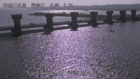 hitamn2026011712_image