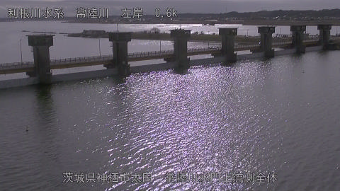 hitamn2026012012_image