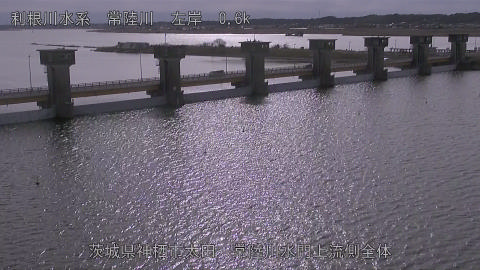 hitamn2026012112_image