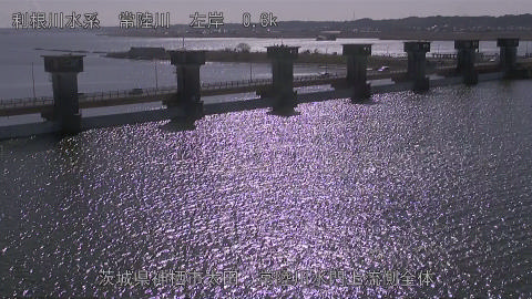 hitamn2026012412_image