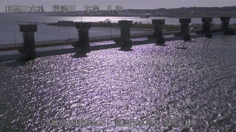 hitamn2026012512_image