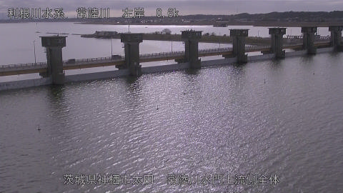 hitamn2026012812_image