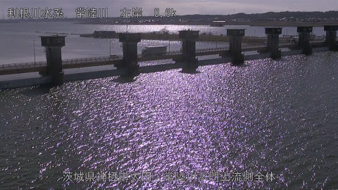 hitamn2026012912_image