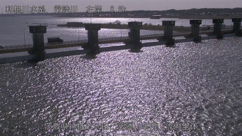 hitamn2026013012_image