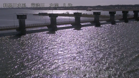 hitamn2026013112_image