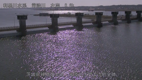 hitamn2026020112_image