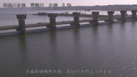 hitamn2026020114_image