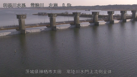 hitamn2026020116_image