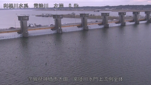 hitamn2026020207_image