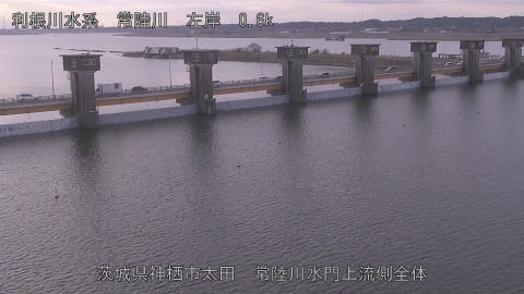 hitamn2026020208_image