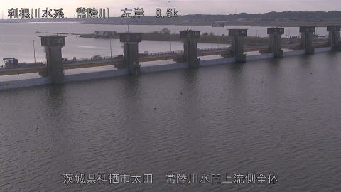 hitamn2026020209_image