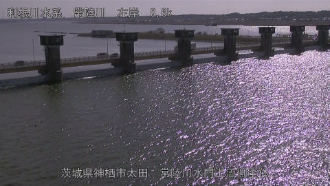 hitamn2026020213_image