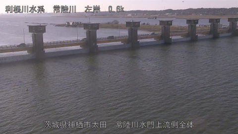 hitamn2026020309_image