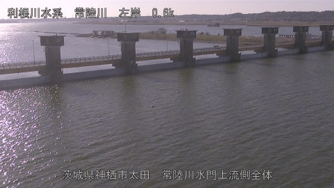 hitamn2026020310_image