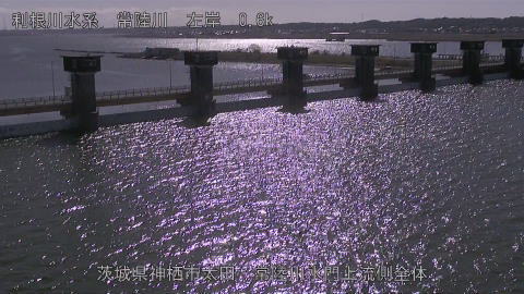 hitamn2026020312_image