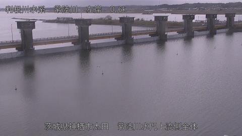 hitamn2026022012_image