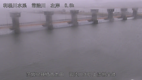 hitamn2026022512_image