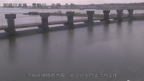 hitamn2026022812_image