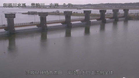 hitamn2026030112_image