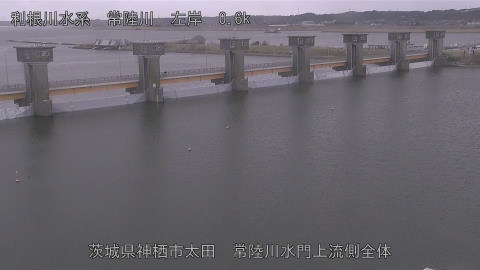 hitamn2026030212_image