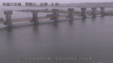 hitamn2026030312_image