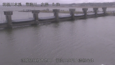 hitamn2026030412_image