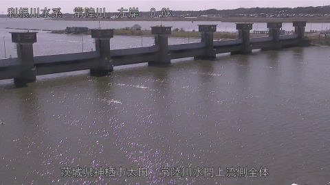 hitamn2026030512_image