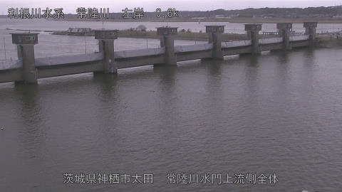 hitamn2026030612_image