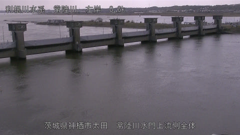 hitamn2026030712_image