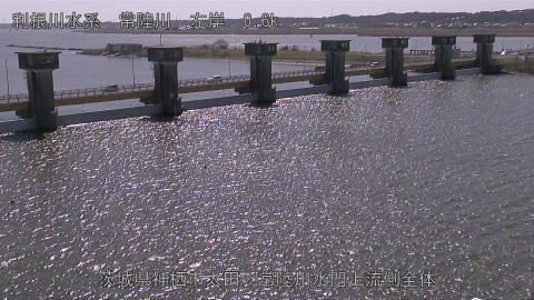 hitamn2026030812_image