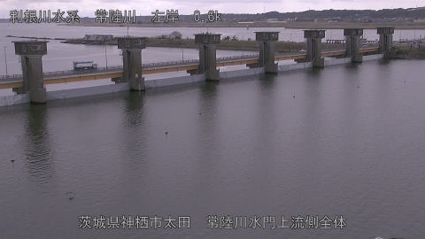 hitamn2026030912_image