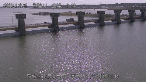 hitamn2026031112_image