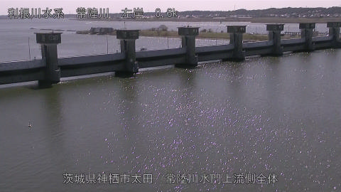 hitamn2026031212_image